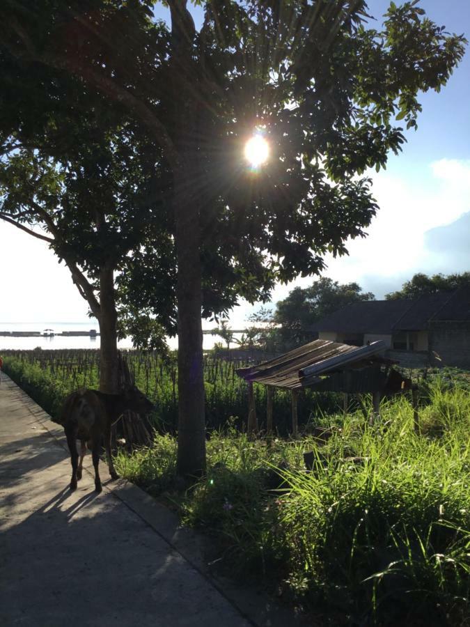 The Villa'S Kubu Sandan กินตามานี ภายนอก รูปภาพ
